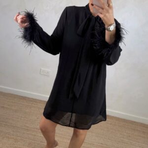 Robe Briget noire plume